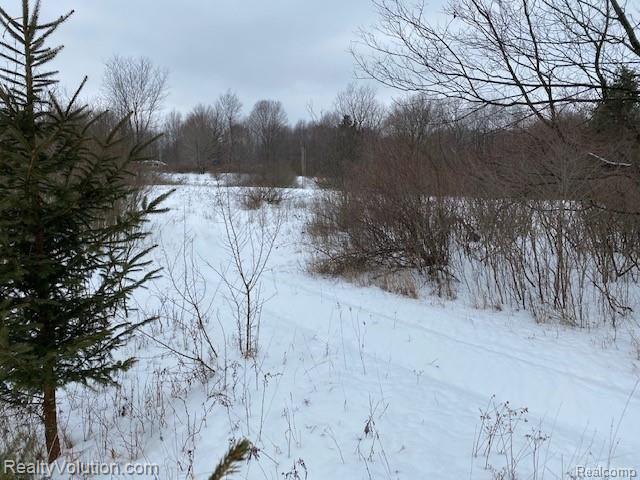 10-acres Ewalt Road Attica, MI 48412 - Photo 2 of 9 Gallery Image 2