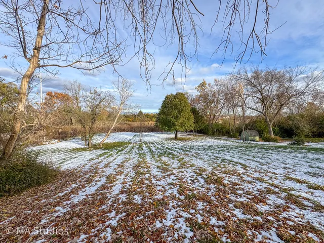 a view of a yard with plants and trees