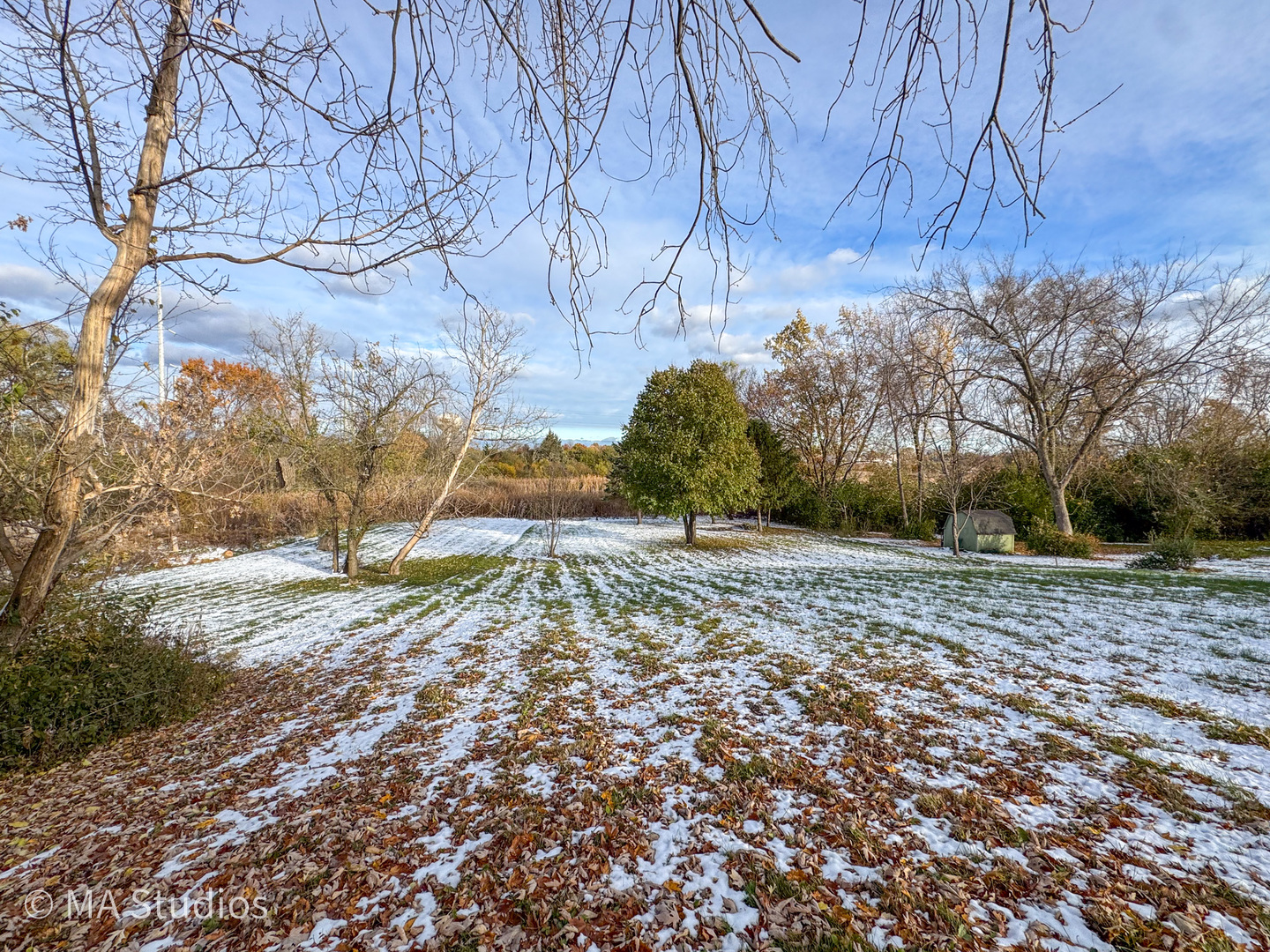 8-s057 South Vine Street Burr Ridge, IL 60527 - Photo 6 of 37 a view of a yard with plants and trees