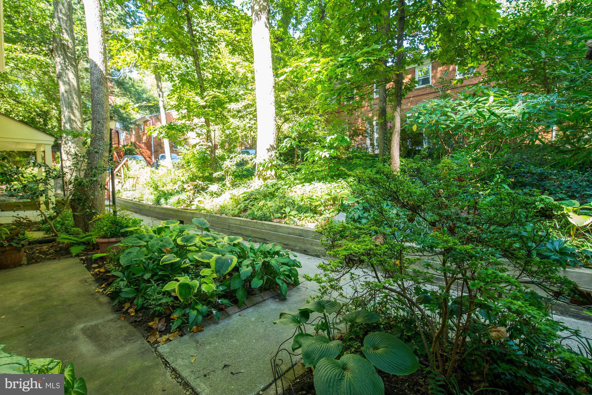 8551 Geren Road, Unit 248 Silver Spring, MD 20901 - Photo 18 of 21 a view of a garden with plants