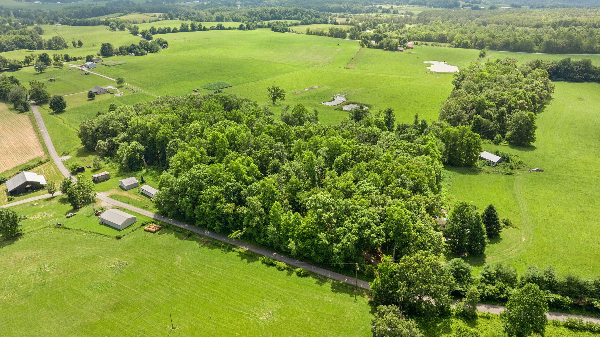 1545 Liberty Road Eubank, KY 42567 - Photo 27 of 54 27-web-or-mls-DJI_20260629153117_0123_D