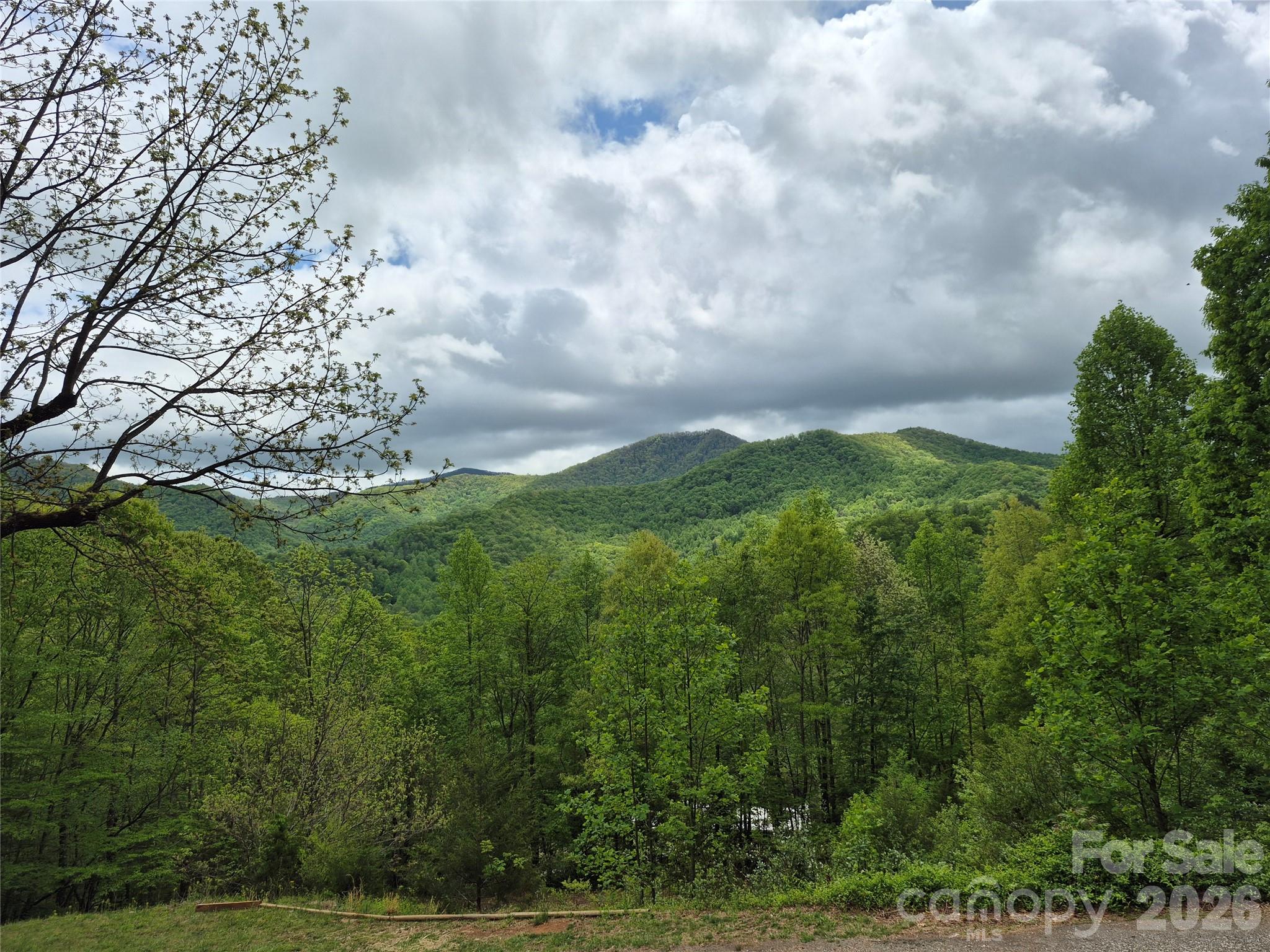 298 Timbuktu Road Sylva, NC 28779 - Photo 19 of 24 a view of a green field