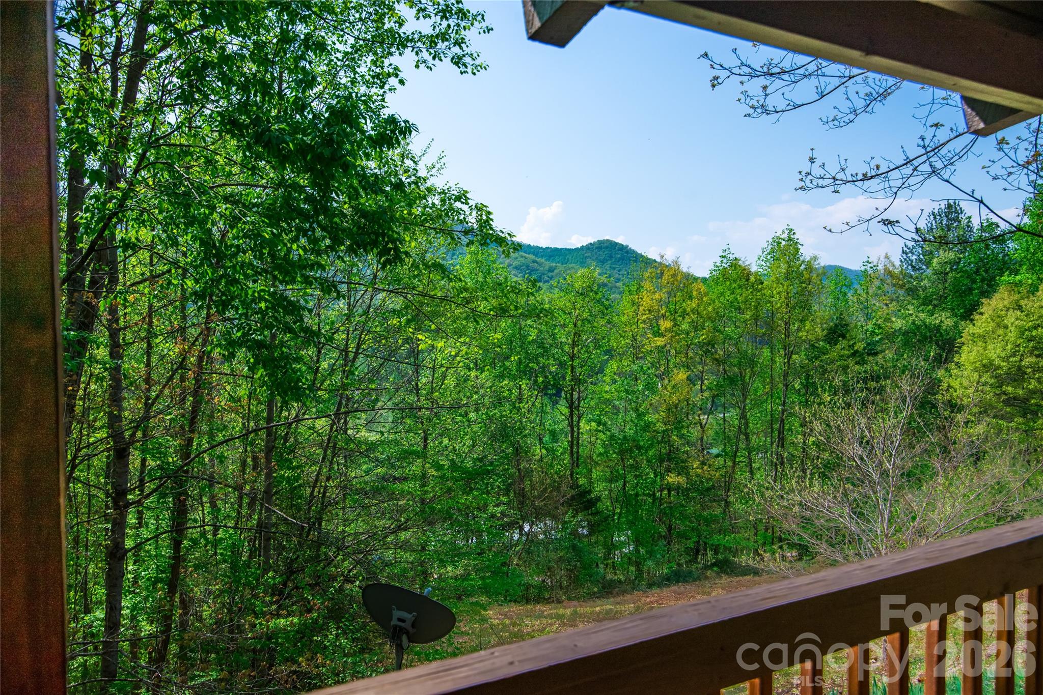 298 Timbuktu Road Sylva, NC 28779 - Photo 10 of 24 a view of a yard with large tree
