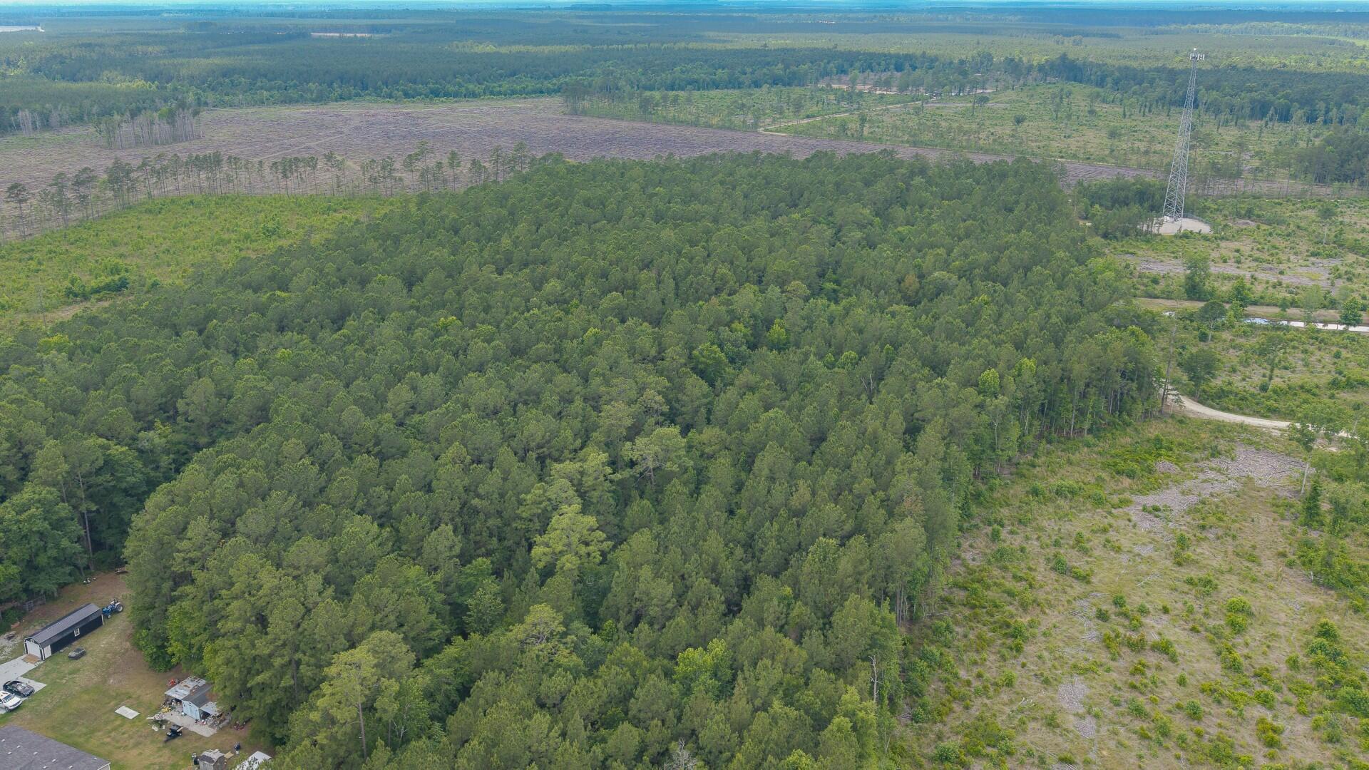 6222 Saints Delight Road, Unit LOT 8A Georgetown, SC 29440 - Photo 12 of 27