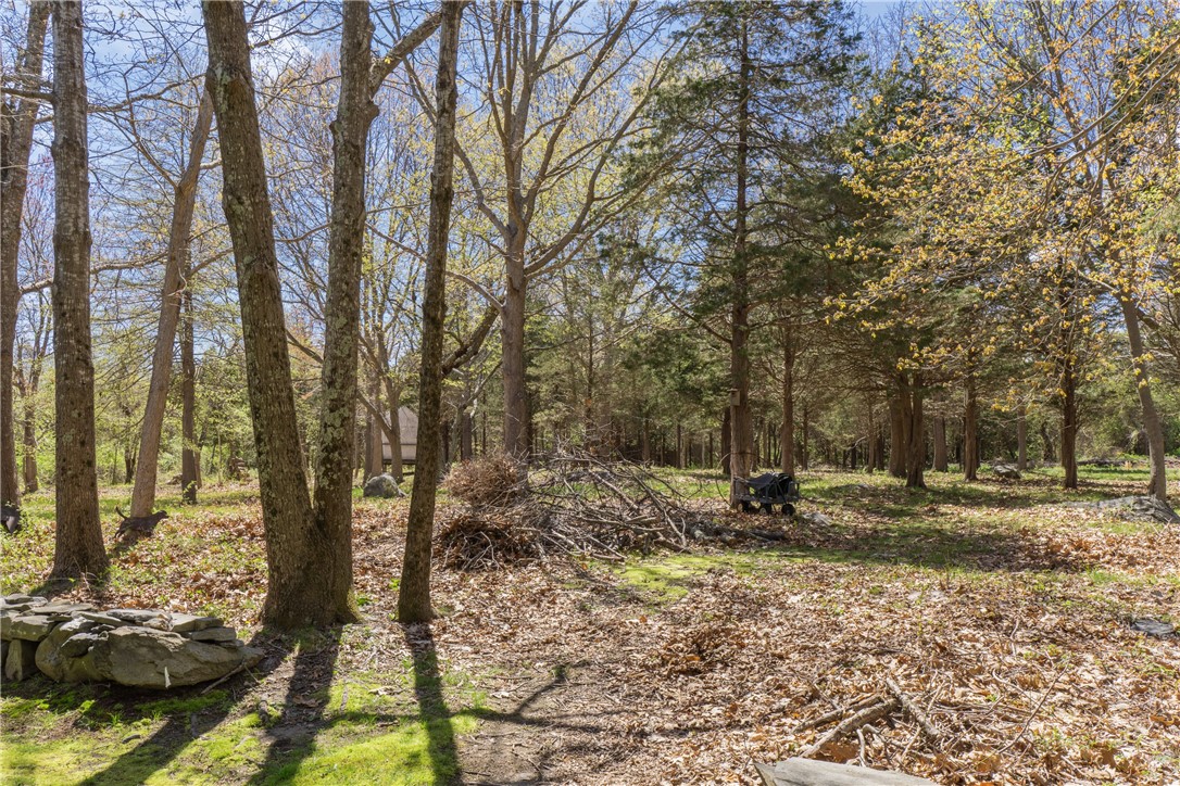 67 Wright Lane Jamestown, RI 02835 - Photo 29 of 31 Rear yard with woodlands