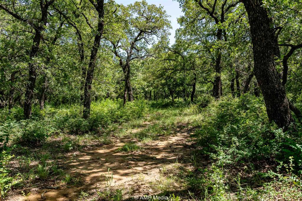 3641 A Carpenter Road Nocona, TX 76255 - Photo 4 of 27 a view of a lush green forest