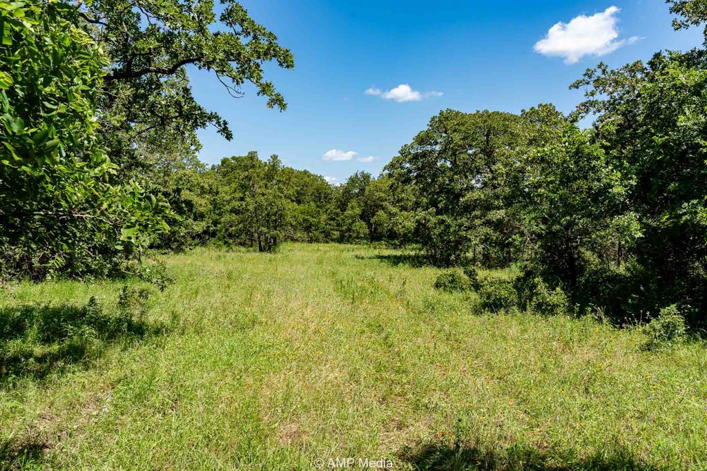 3641 A Carpenter Road Nocona, TX 76255 - Photo 5 of 27 a view of a garden
