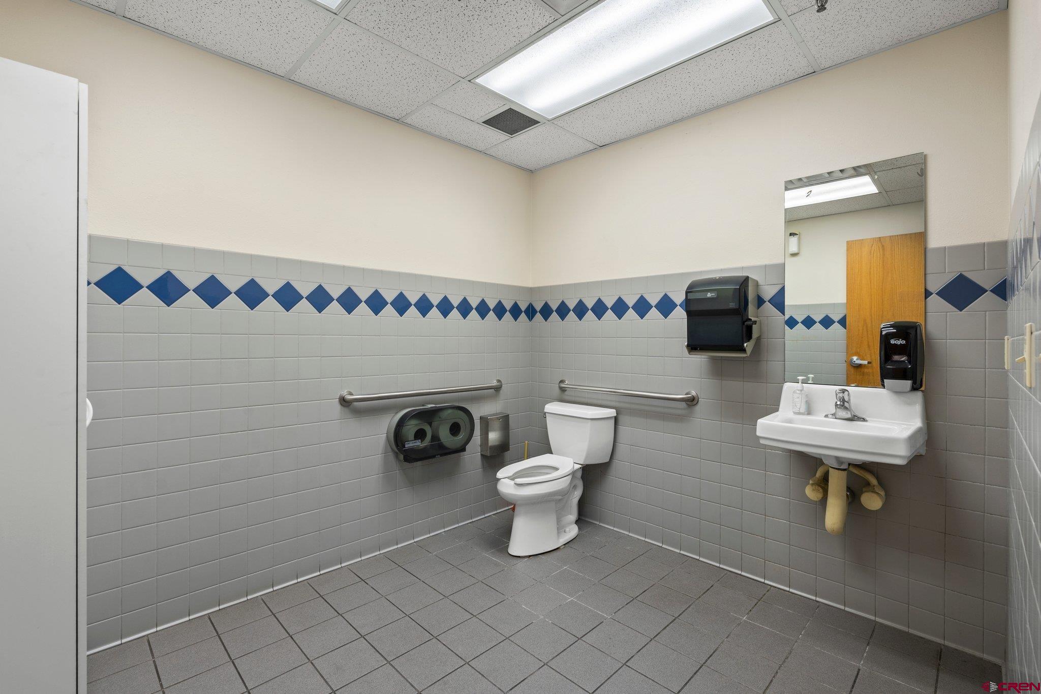 329 South Camino Del Rio Durango, CO 81303 - Photo 22 of 29 a bathroom with a toilet a sink and mirror