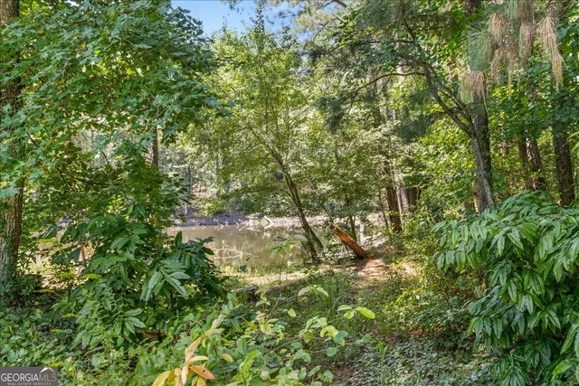 a view of a tree in a yard
