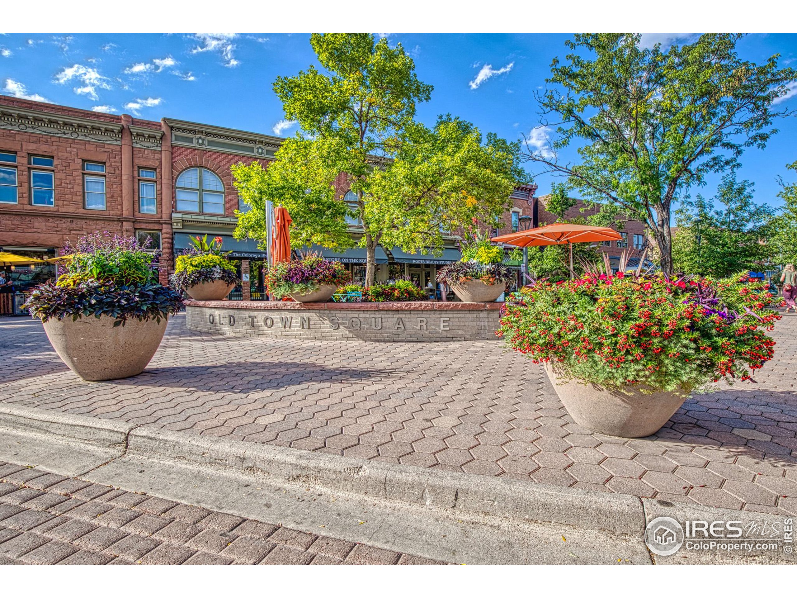 530 Mathews Street Fort Collins, CO 80524 - Photo 31 of 34 a view of a backyard with potted plants and a fountain