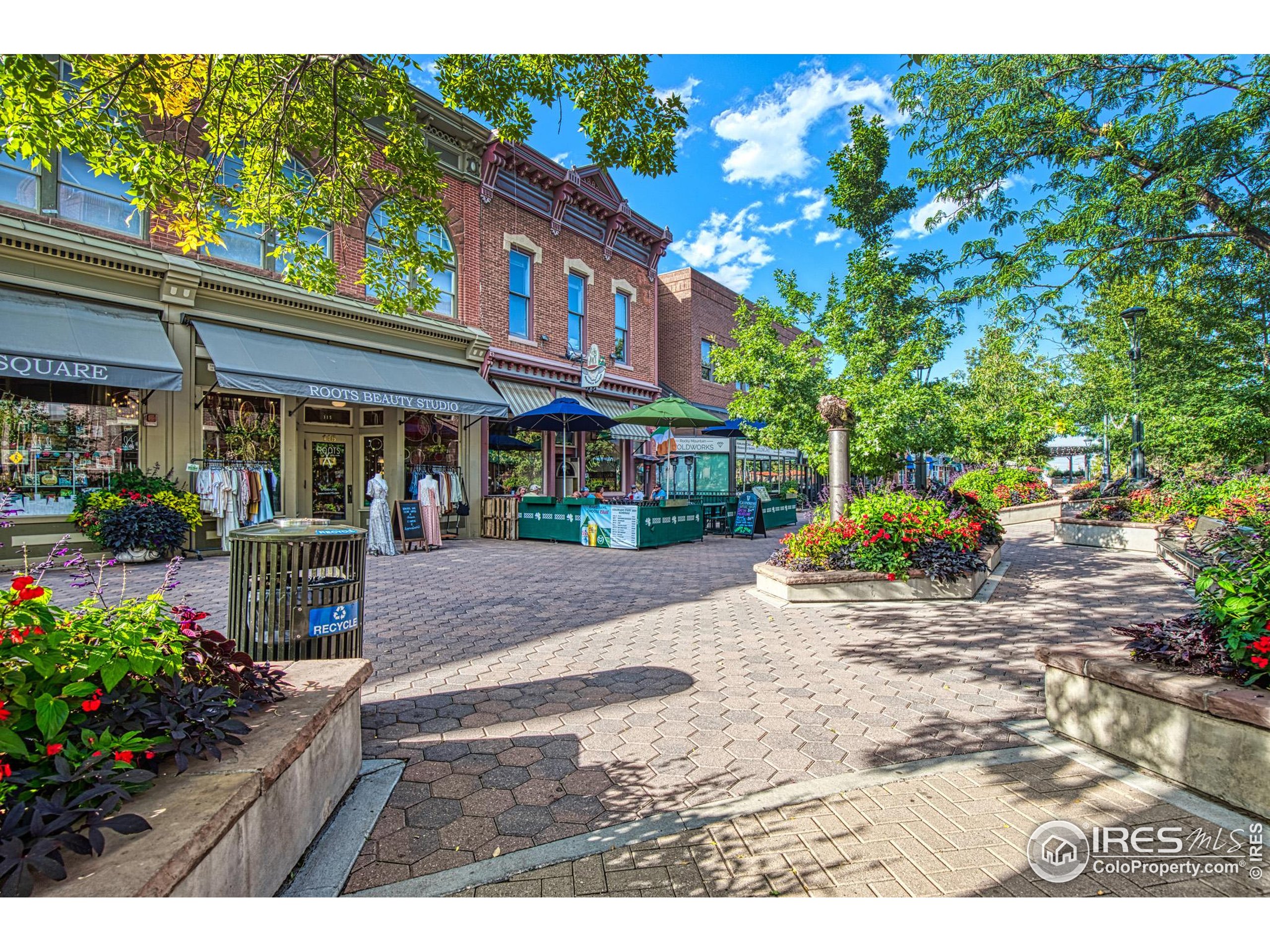 530 Mathews Street Fort Collins, CO 80524 - Photo 32 of 34 a view of street with sitting area