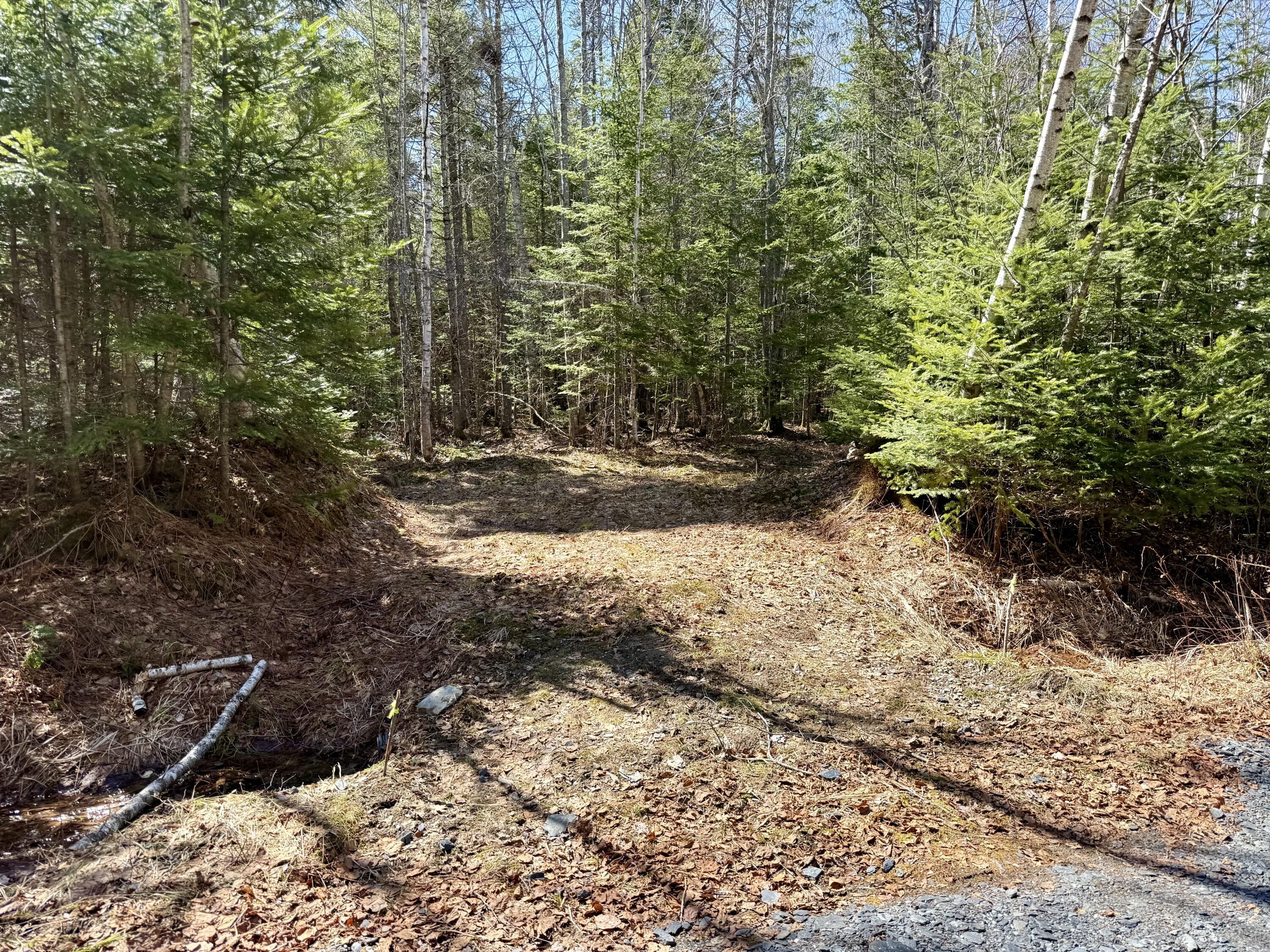 12-6 Degerstrom Road Monson, ME 04464 - Photo 5 of 6 IMG_6740