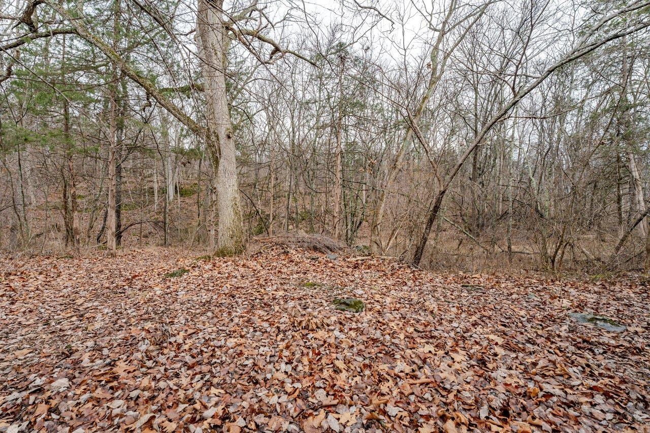 523 Gravels Road Harrisonburg, VA 22802 - Photo 57 of 65 a view of a yard with trees