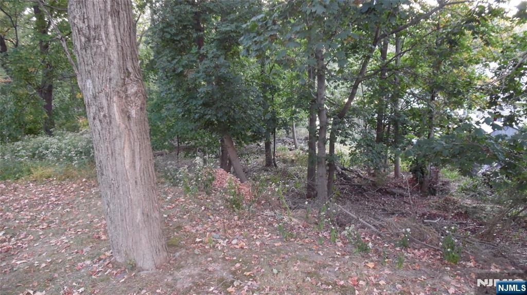 26 James Terrace Pompton Lakes, NJ 07442 - Photo 41 of 43 a view of a forest that has large trees