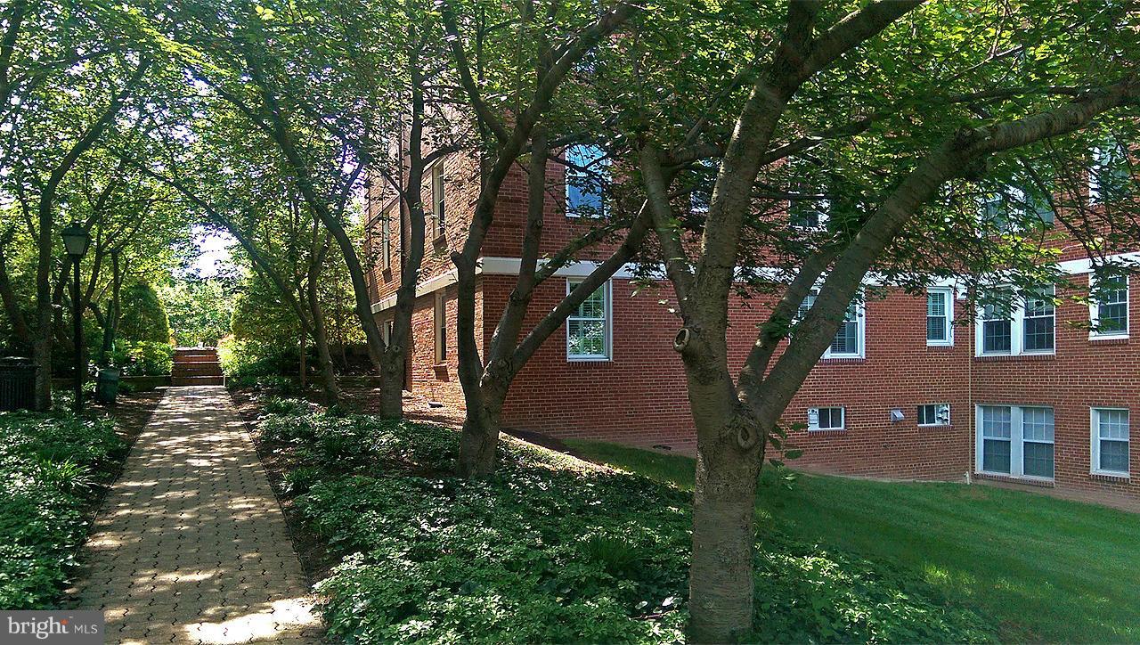 22 South Old Glebe Road, Unit 105D Arlington, VA 22204 - Photo 15 of 21 Community
