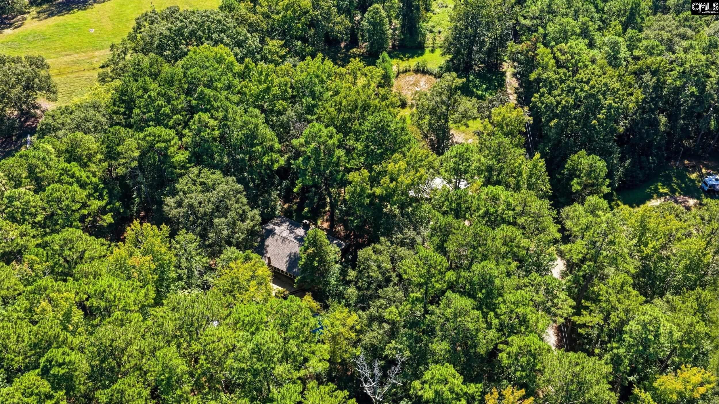 451 Old Ruff Road Winnsboro, SC 29180 - Photo 29 of 30 Gallery Image 29