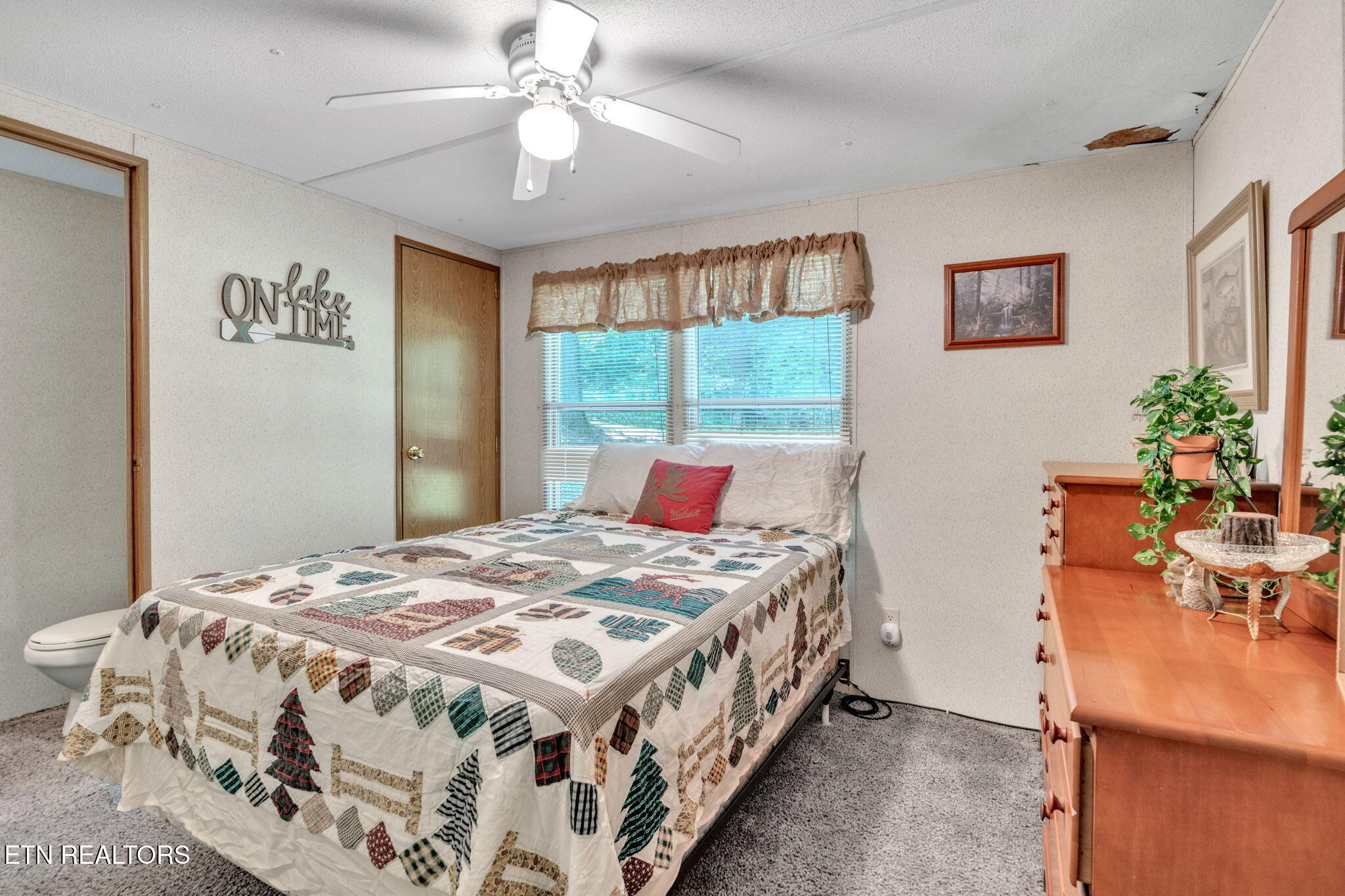 237 Blue Ridge Road Speedwell, TN 37870 - Photo 12 of 25 19-web-or-mls-Blue Ridge-8833