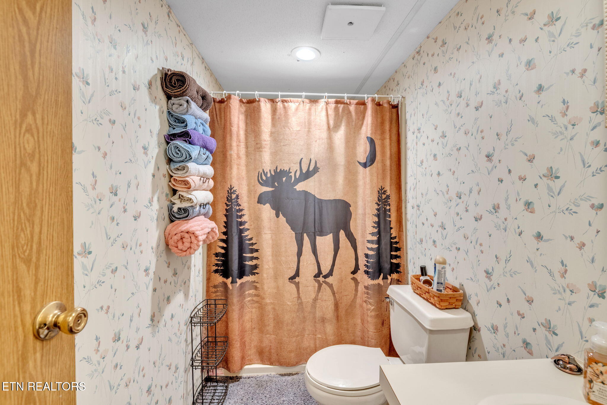 237 Blue Ridge Road Speedwell, TN 37870 - Photo 14 of 25 12-web-or-mls-Blue Ridge-8860