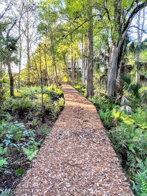 Camelia Street LaBelle, FL 33935 - Photo 4 of 15 a view of a pathway with a yard