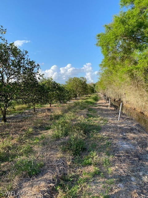 Camelia Street LaBelle, FL 33935 - Photo 7 of 15 a view of a field of grass and trees