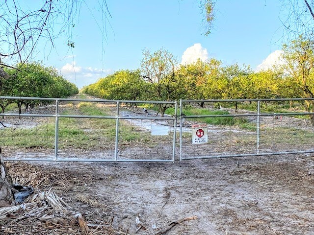 Camelia Street LaBelle, FL 33935 - Photo 9 of 15 a view of a park