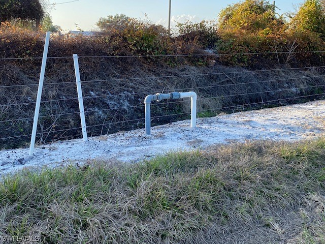 Camelia Street LaBelle, FL 33935 - Photo 10 of 15 a view of a backyard with plants