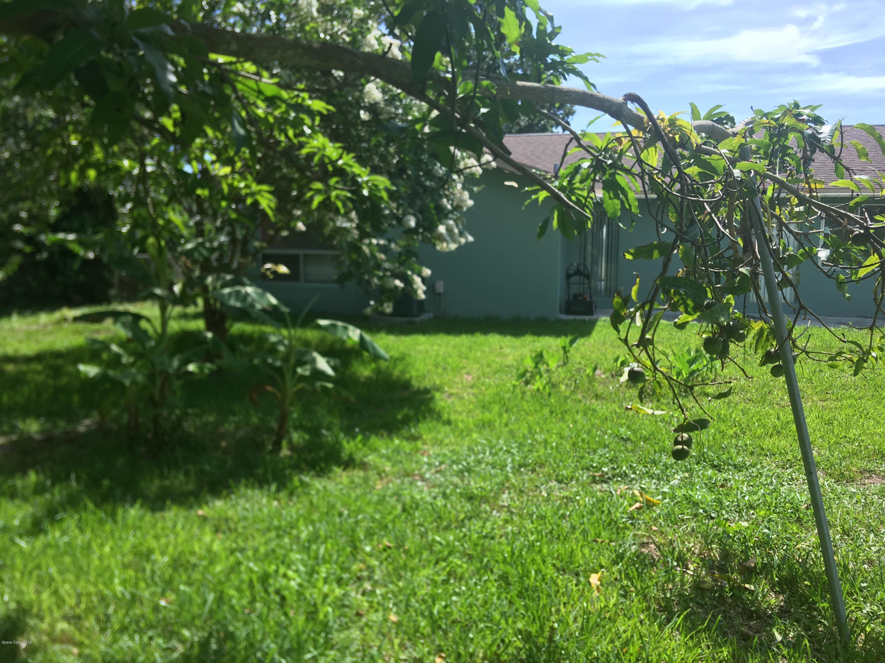 1272 Cromey Road Northeast Palm Bay, FL 32905 - Photo 44 of 53 a backyard of a house with lots of green space