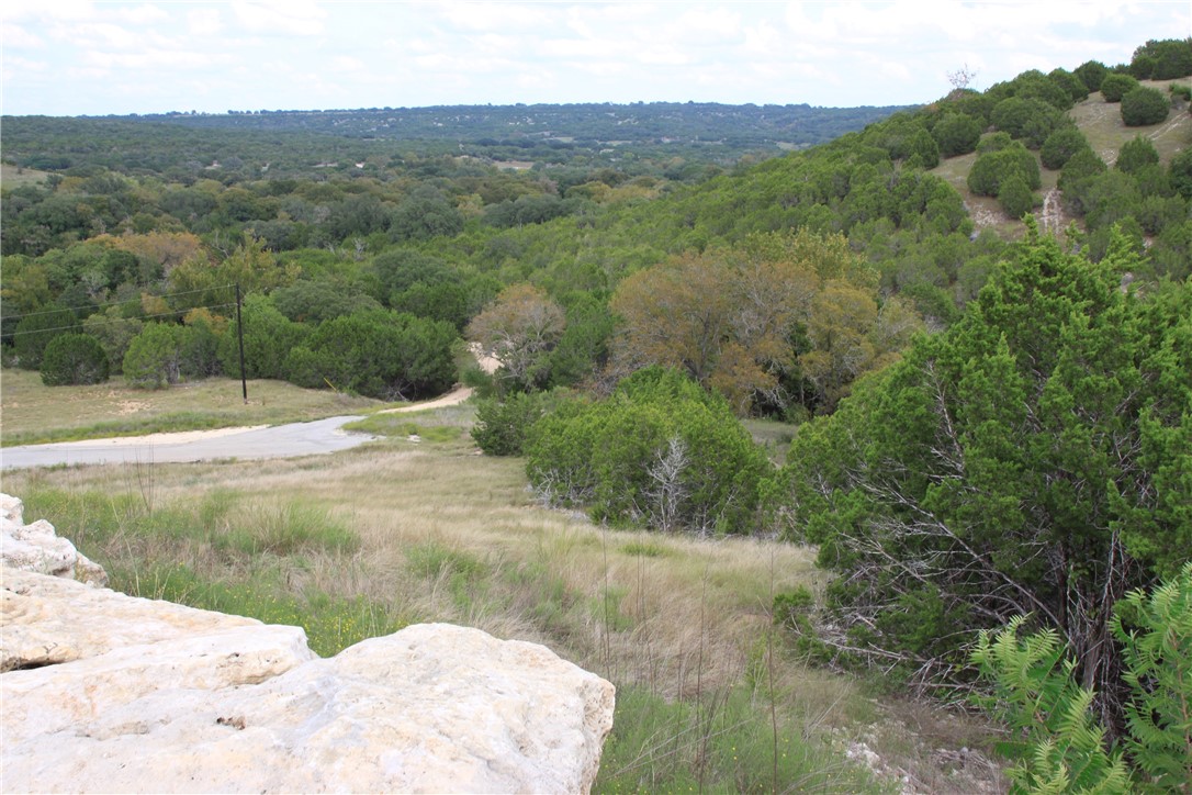Lot 100 Saddle Ridge Drive Bertram, TX 78605 - Photo 1 of 1
