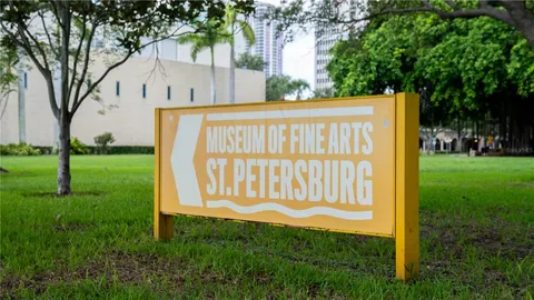 a view of a back yard