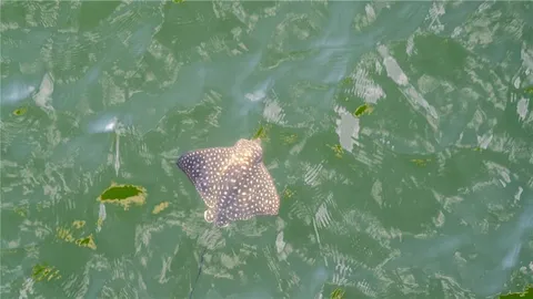 $359,000 | 4327 4th Avenue South, St. Petersburg, FL 33711