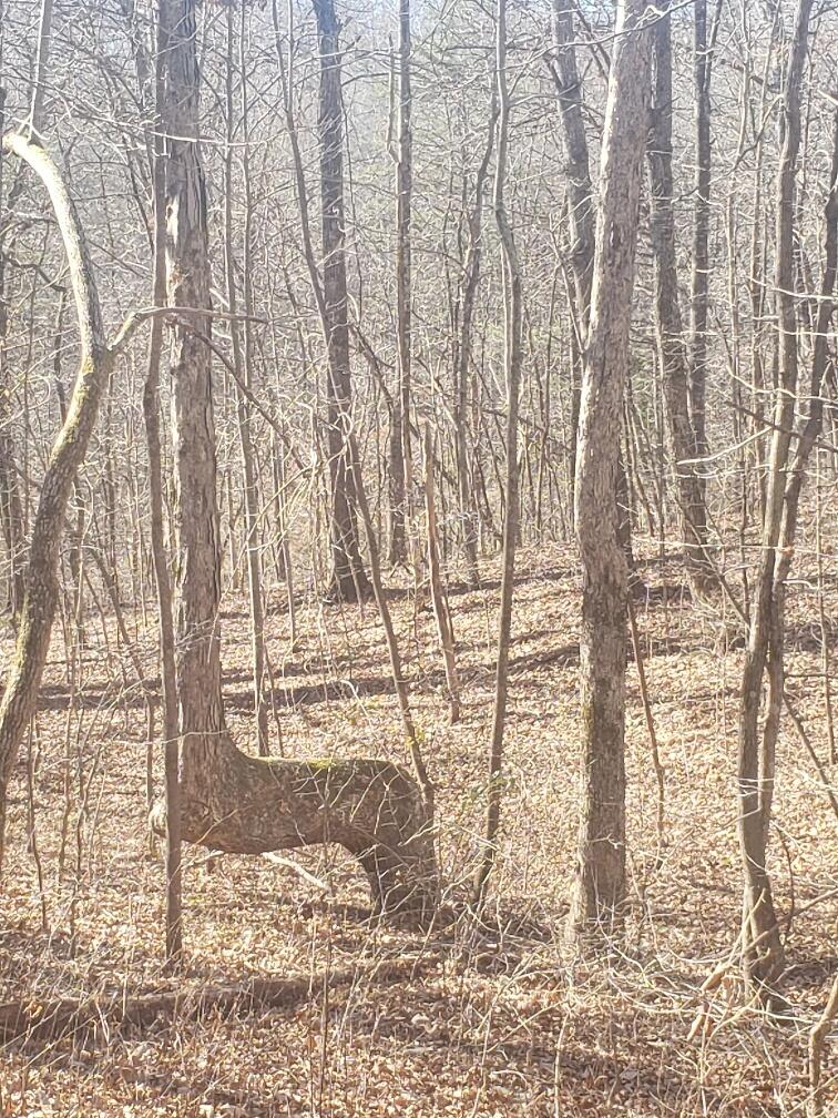 20211223_123912_resized