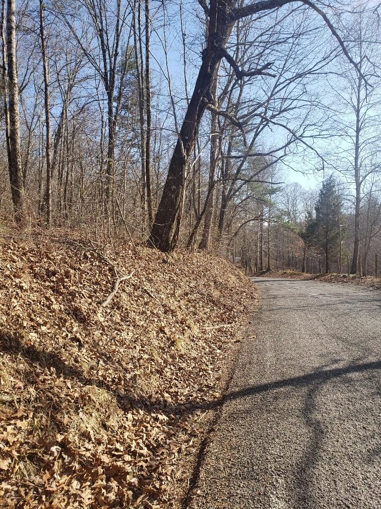 1072 Lowes Gap Road Spring City, TN 37381 - Photo 11 of 22 20220211_141934_resized