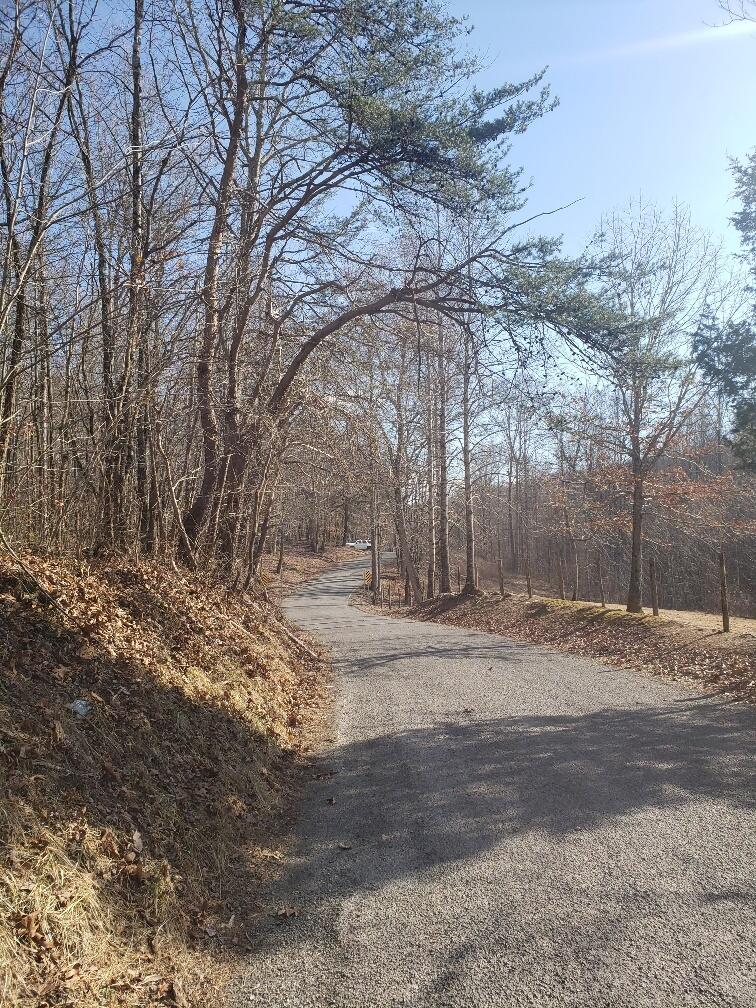 1072 Lowes Gap Road Spring City, TN 37381 - Photo 13 of 22 20220211_142023_resized