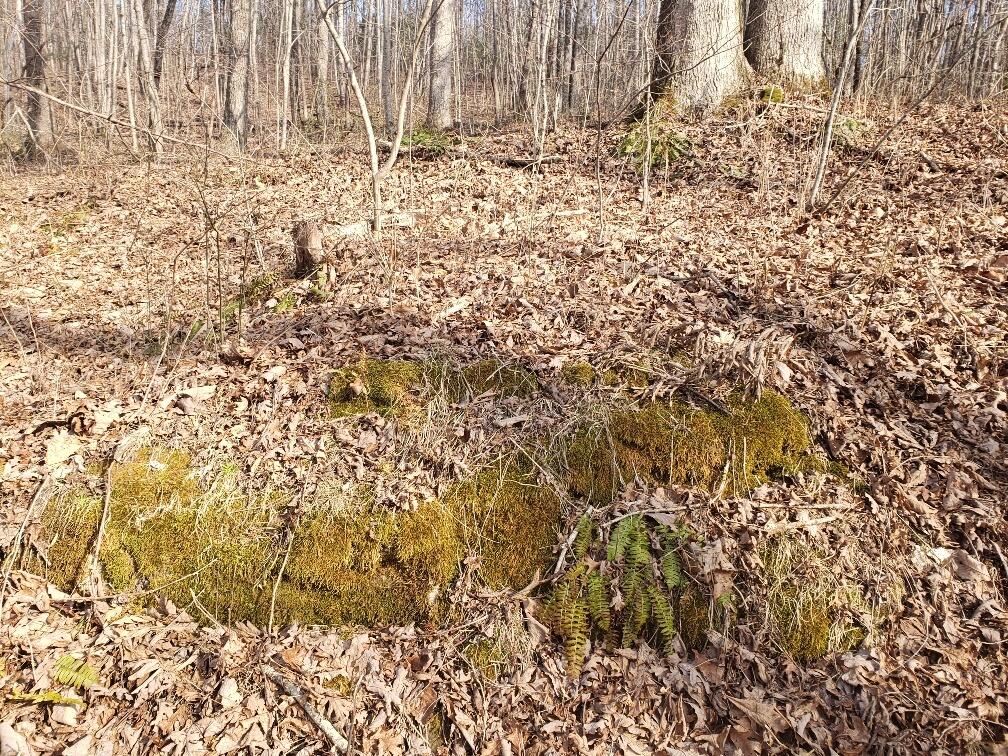 1072 Lowes Gap Road Spring City, TN 37381 - Photo 17 of 22 20220211_143319_resized