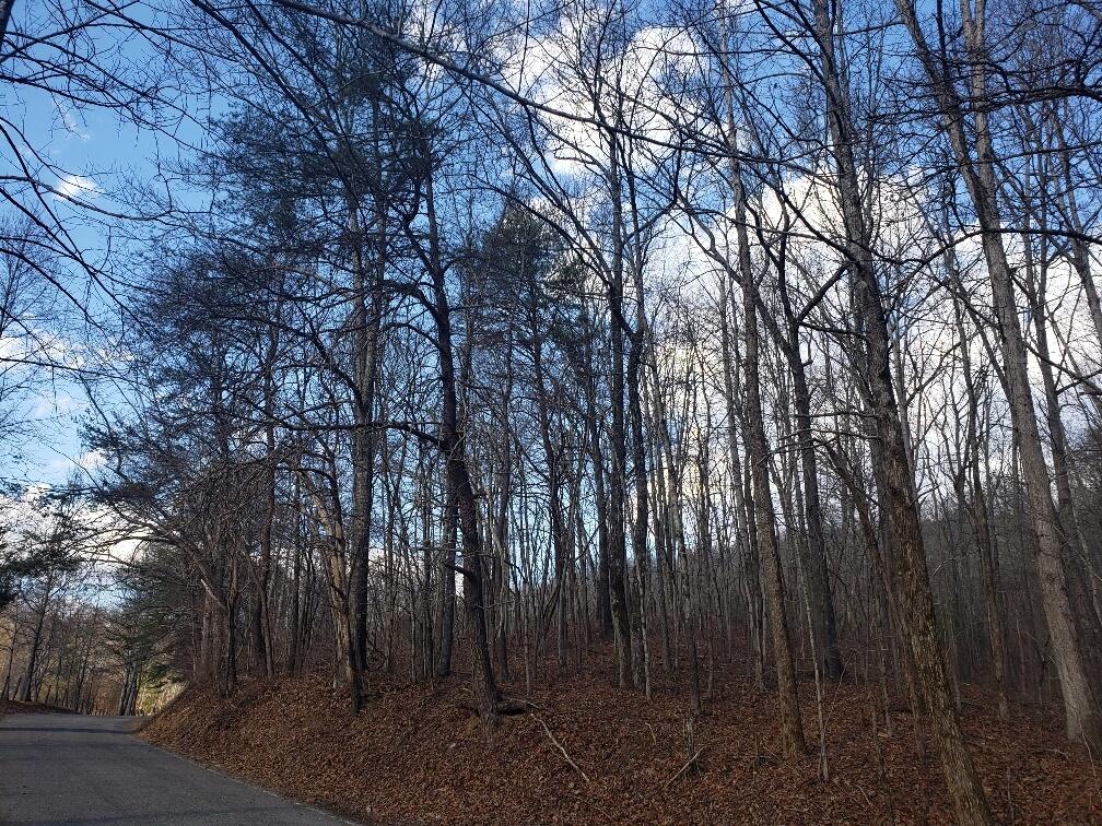 1072 Lowes Gap Road Spring City, TN 37381 - Photo 21 of 22 20220211_153209_resized