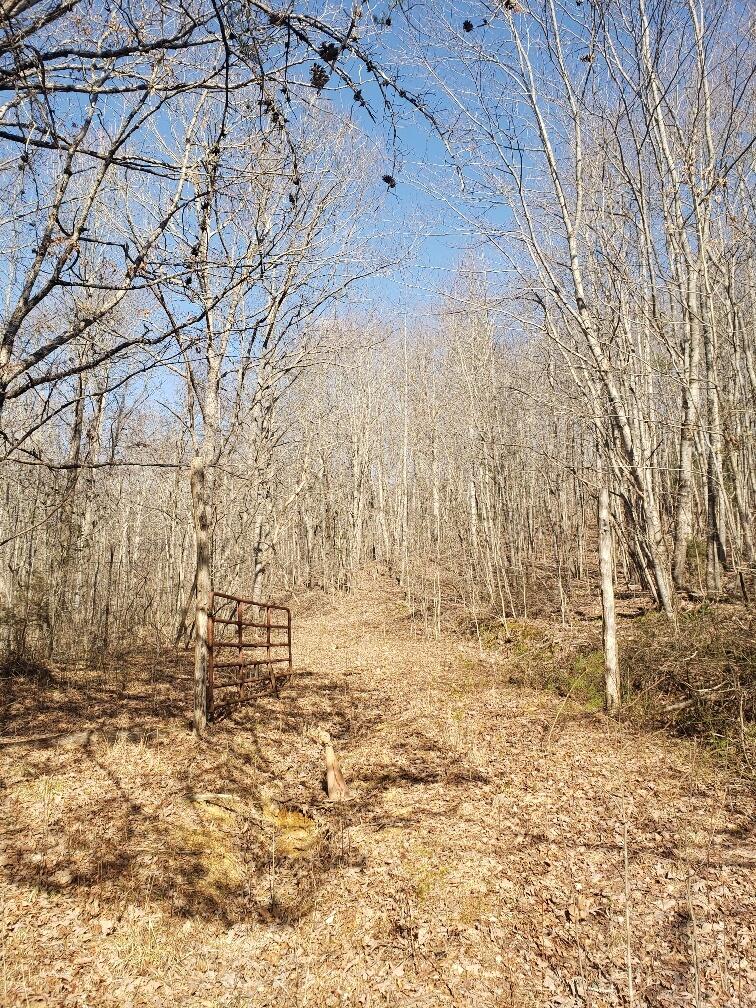 1072 Lowes Gap Road Spring City, TN 37381 - Photo 5 of 22 20220211_135927_resized