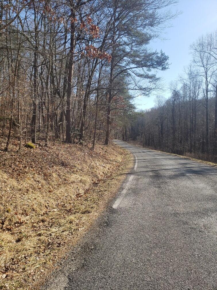 1072 Lowes Gap Road Spring City, TN 37381 - Photo 6 of 22 20220211_140053_resized