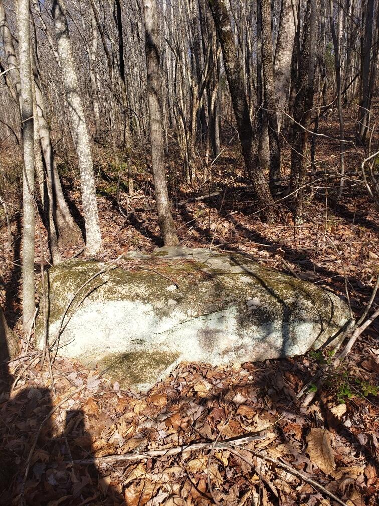 1072 Lowes Gap Road Spring City, TN 37381 - Photo 7 of 22 20220211_140209_resized