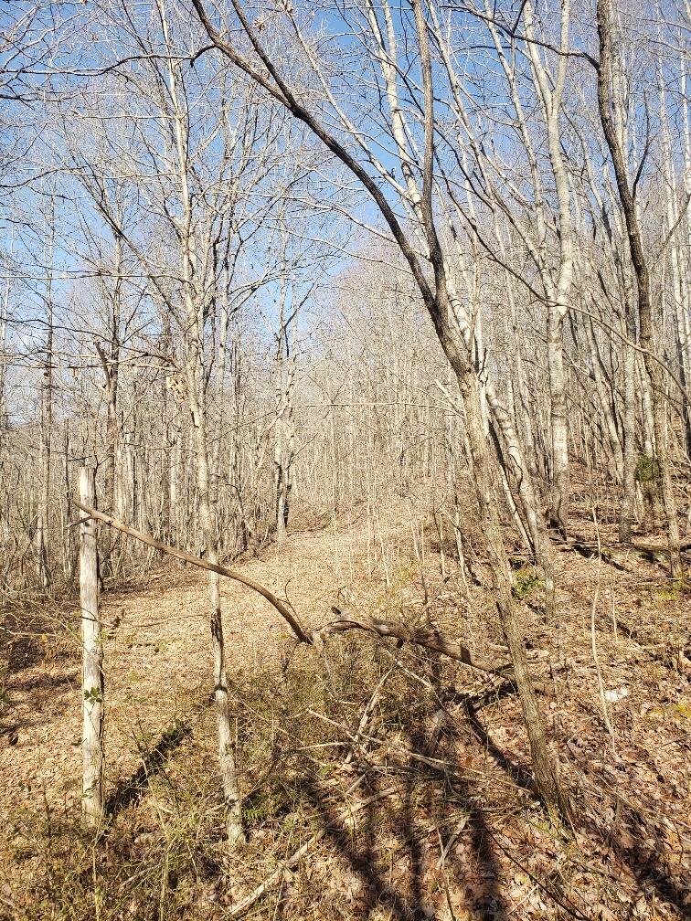 1072 Lowes Gap Road Spring City, TN 37381 - Photo 9 of 22 20220211_140319_resized