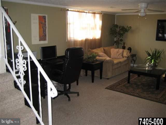 2213 Chestnut Road York, PA 17408 - Photo 19 of 25 a living room with furniture and a potted plant