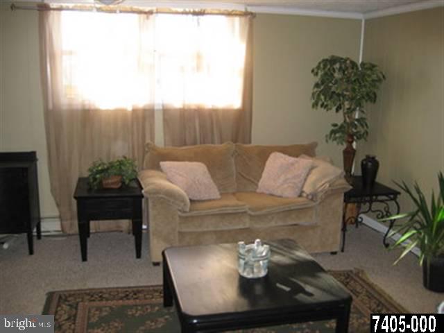 2213 Chestnut Road York, PA 17408 - Photo 20 of 25 a living room with furniture and a potted plant