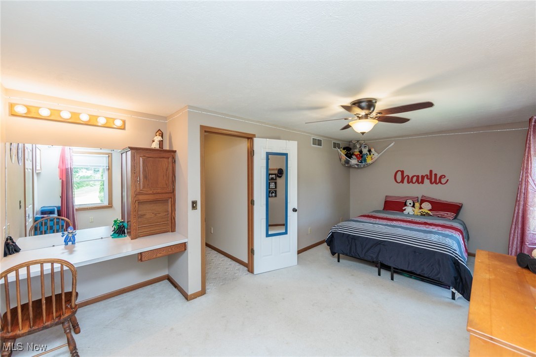 4632 West Britton Road Burbank, OH 44214 - Photo 23 of 49 Gallery Image 23