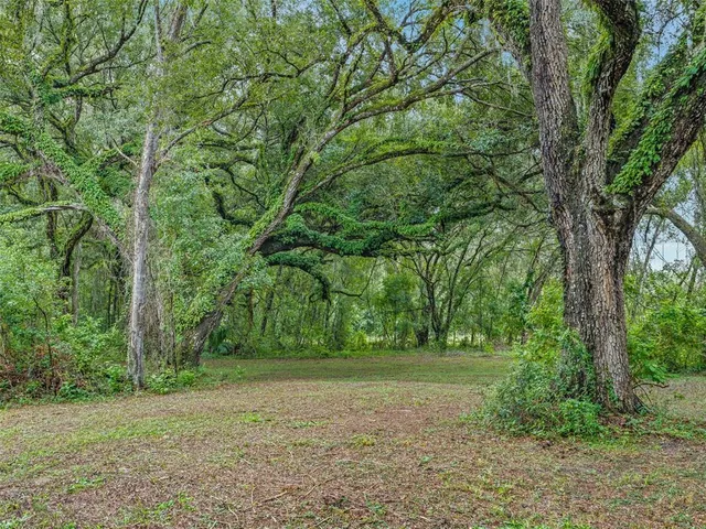 a view of outdoor space and yard