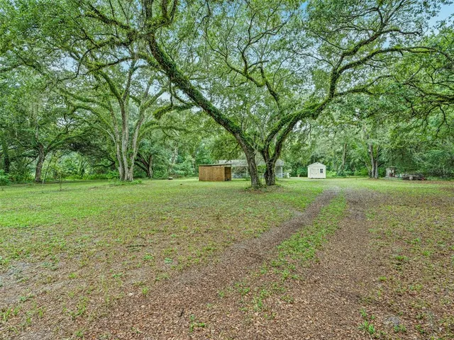 a view of a field with tree in the background