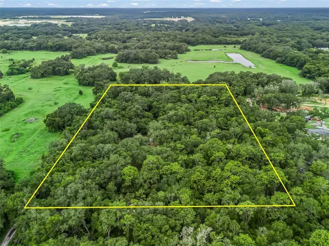 an aerial view of field with lots of trees