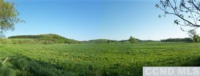 0 Tims Road Ancram, NY 12502 - Photo 2 of 7 Photo 2