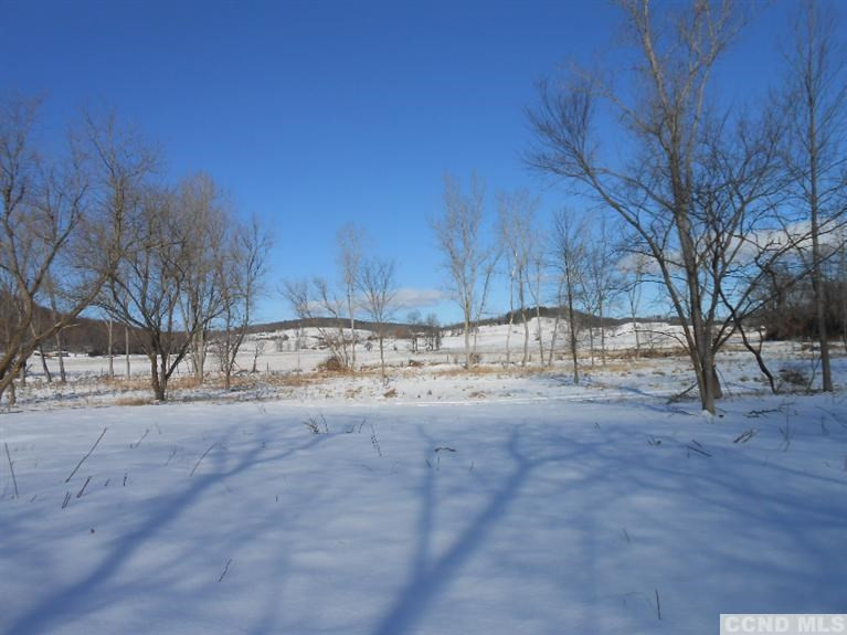 0 Tims Road Ancram, NY 12502 - Photo 4 of 7 Photo 4