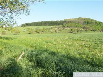 0 Tims Road Ancram, NY 12502 - Photo 5 of 7 Photo 5