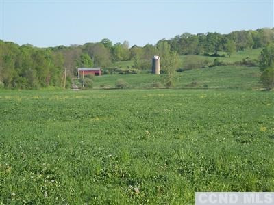 0 Tims Road Ancram, NY 12502 - Photo 6 of 7 Photo 6
