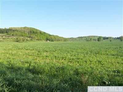 0 Tims Road Ancram, NY 12502 - Photo 7 of 7 Photo 7